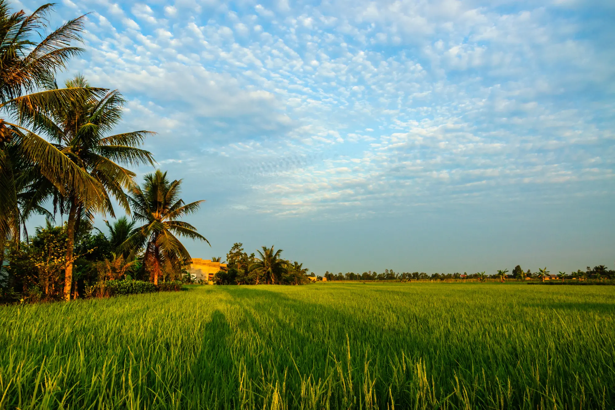 Ben Tre