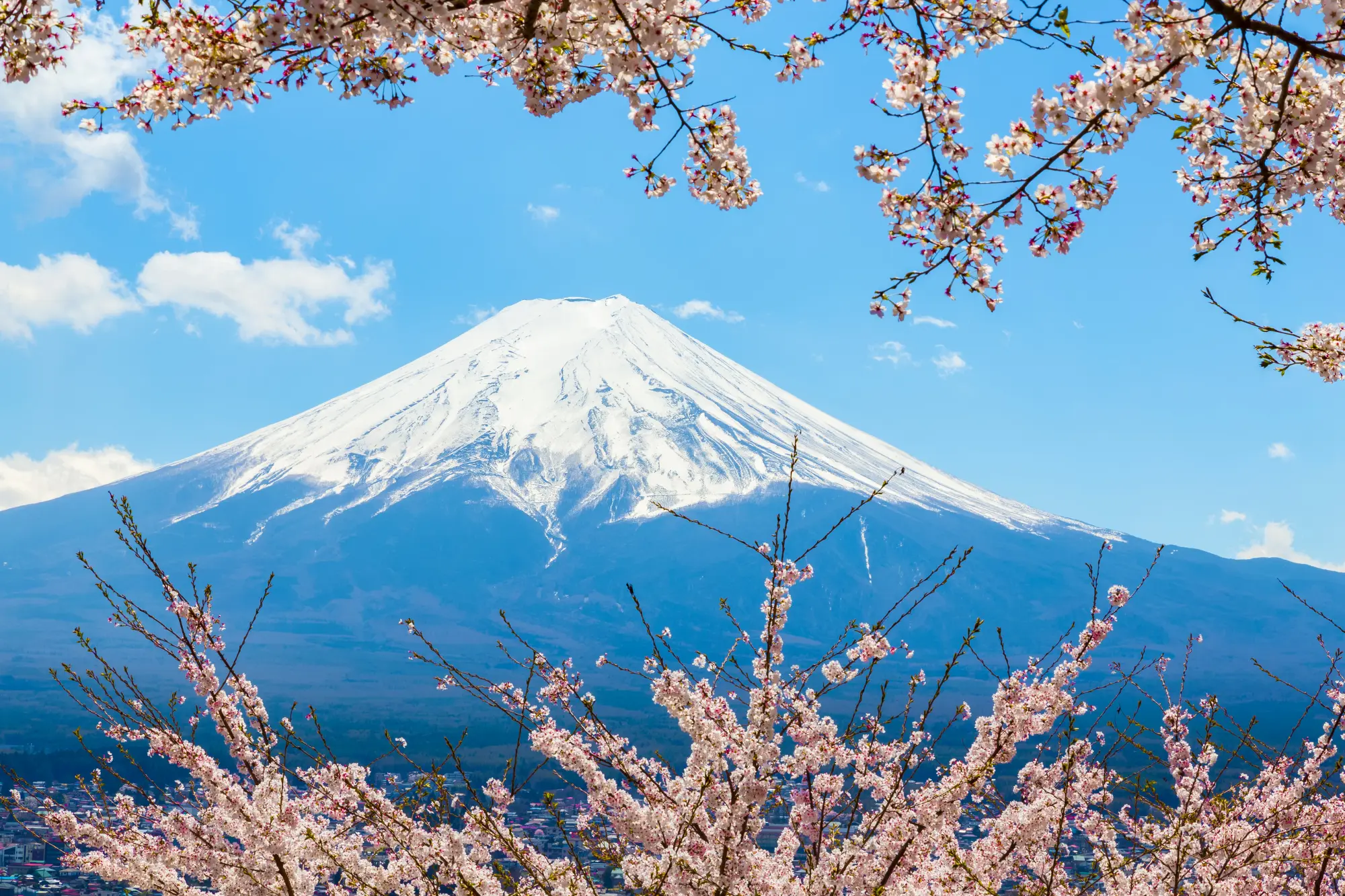 Fuji Heiwa Park