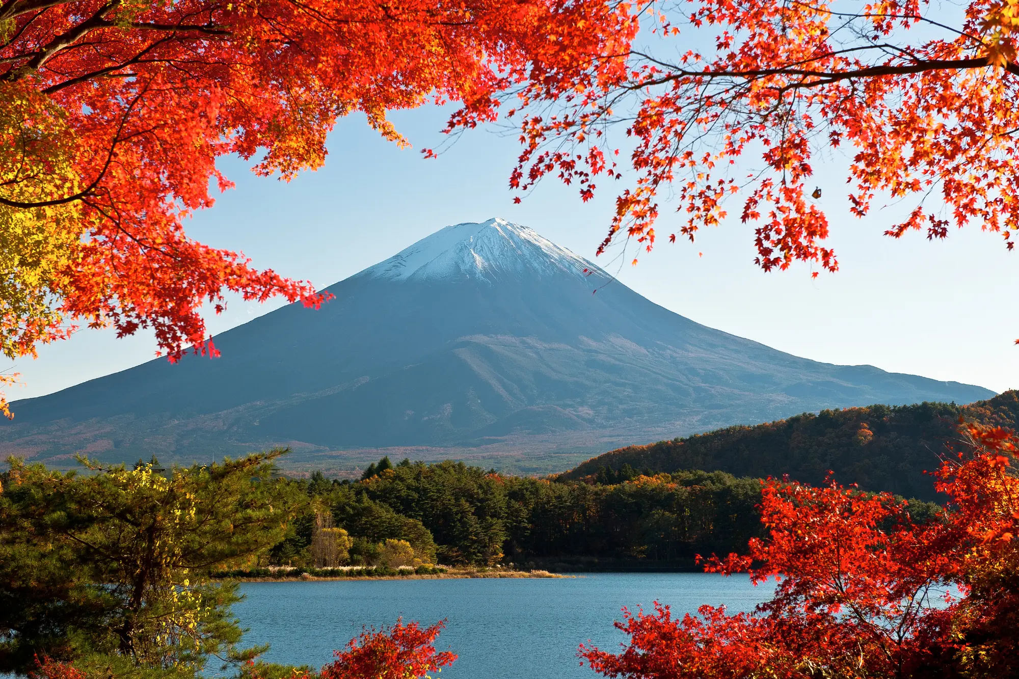 Fuji Heiwa Park