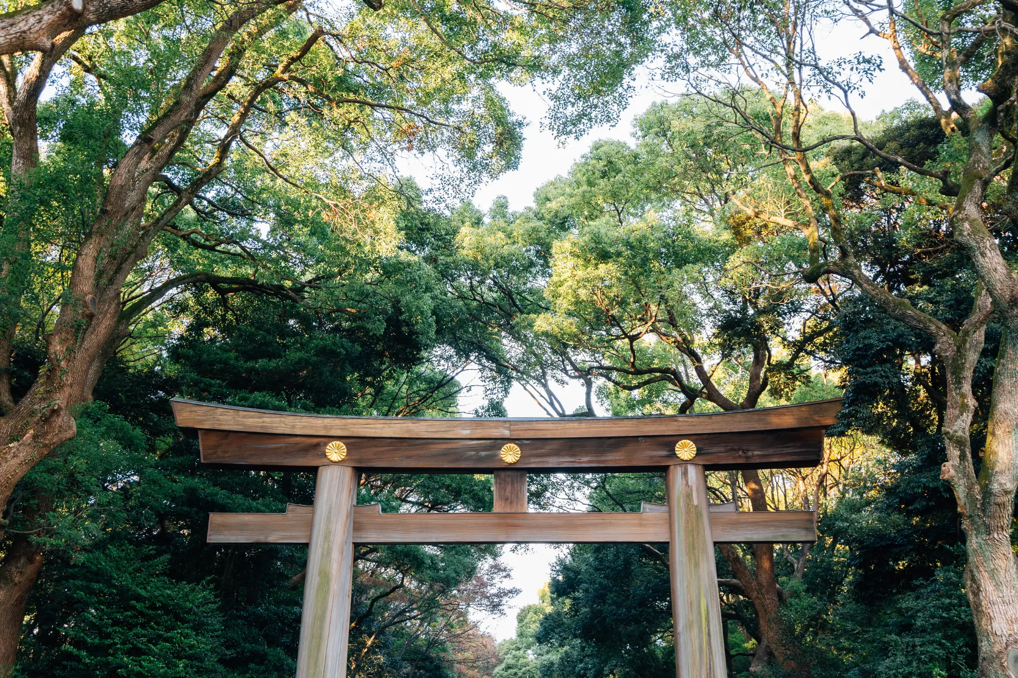 Meiji Jingu Shrine