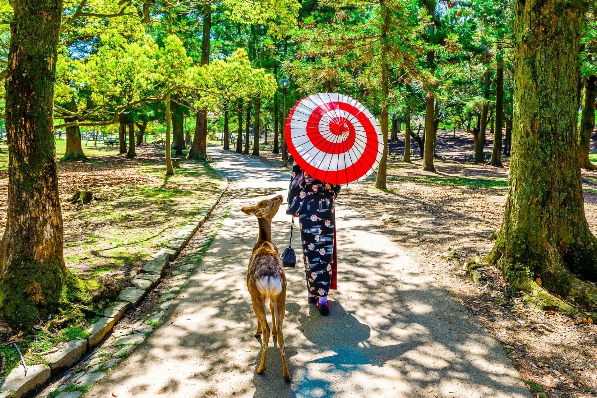 Nara Deer Park