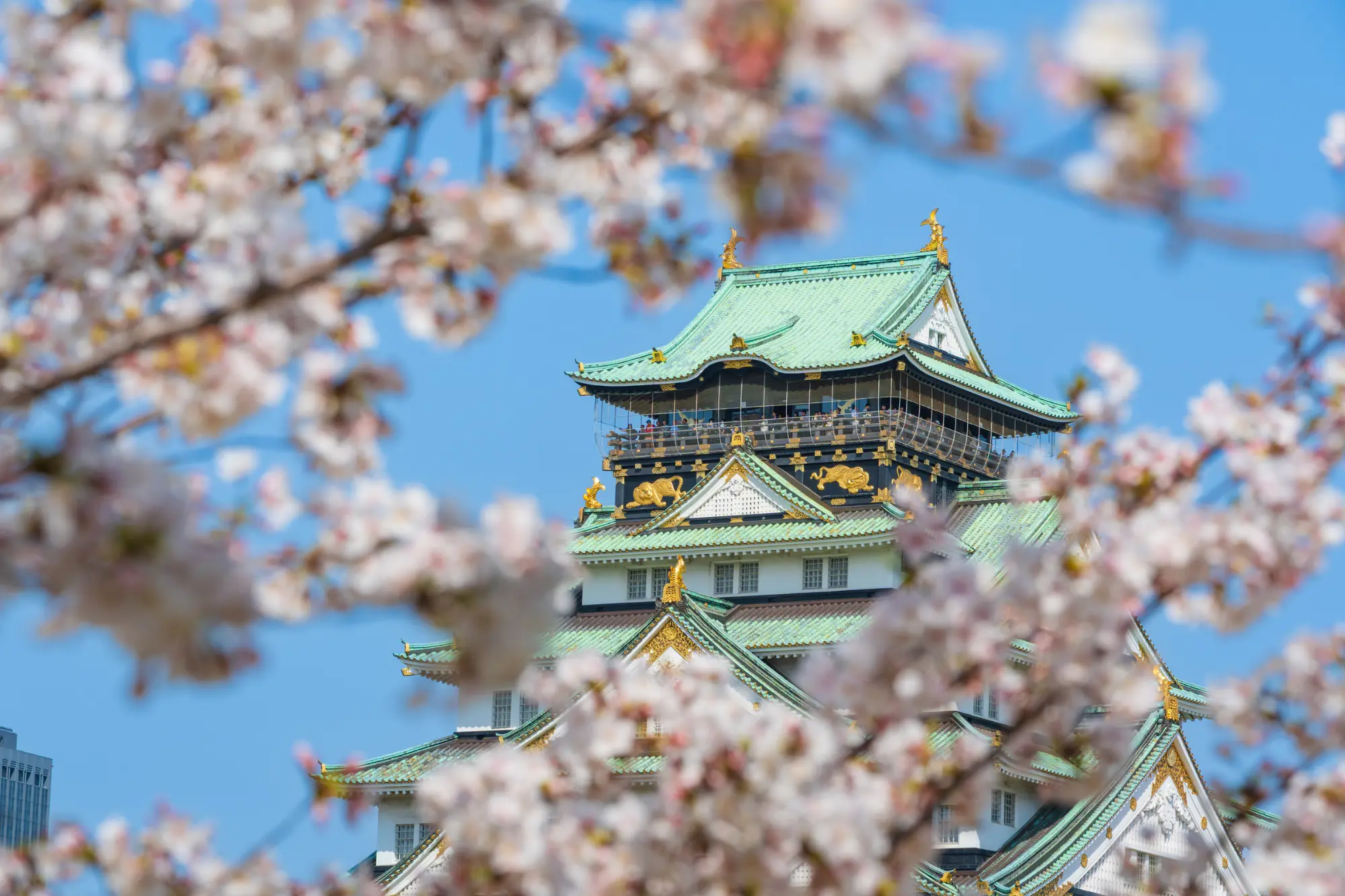 Osaka Castle