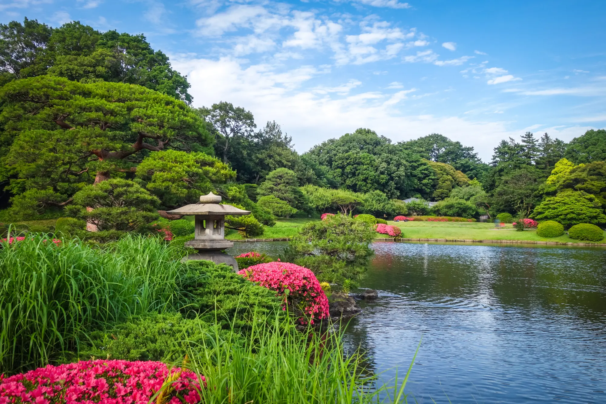 Shinjuku Gyoen National Garden