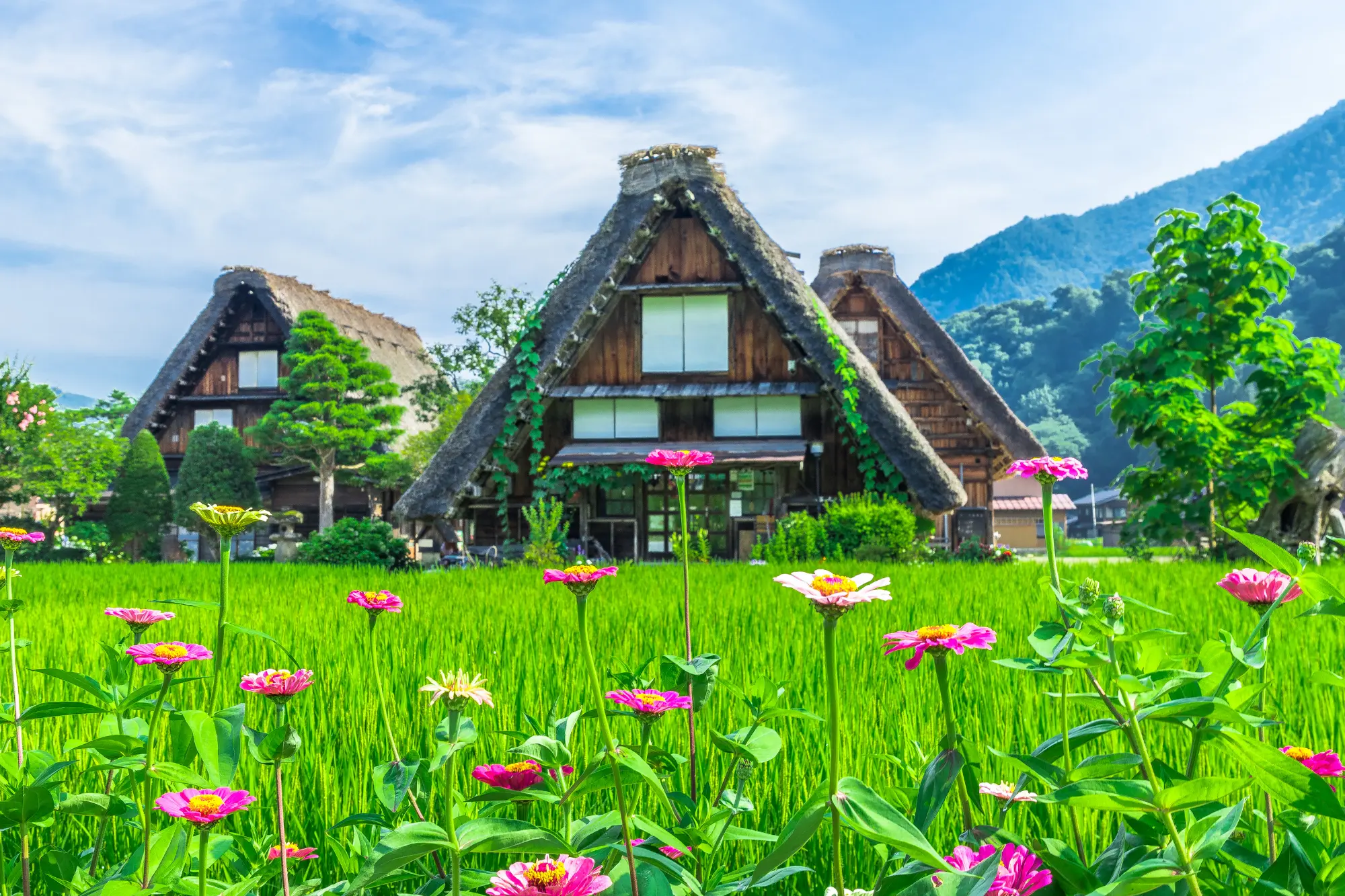 Shirakawa-go