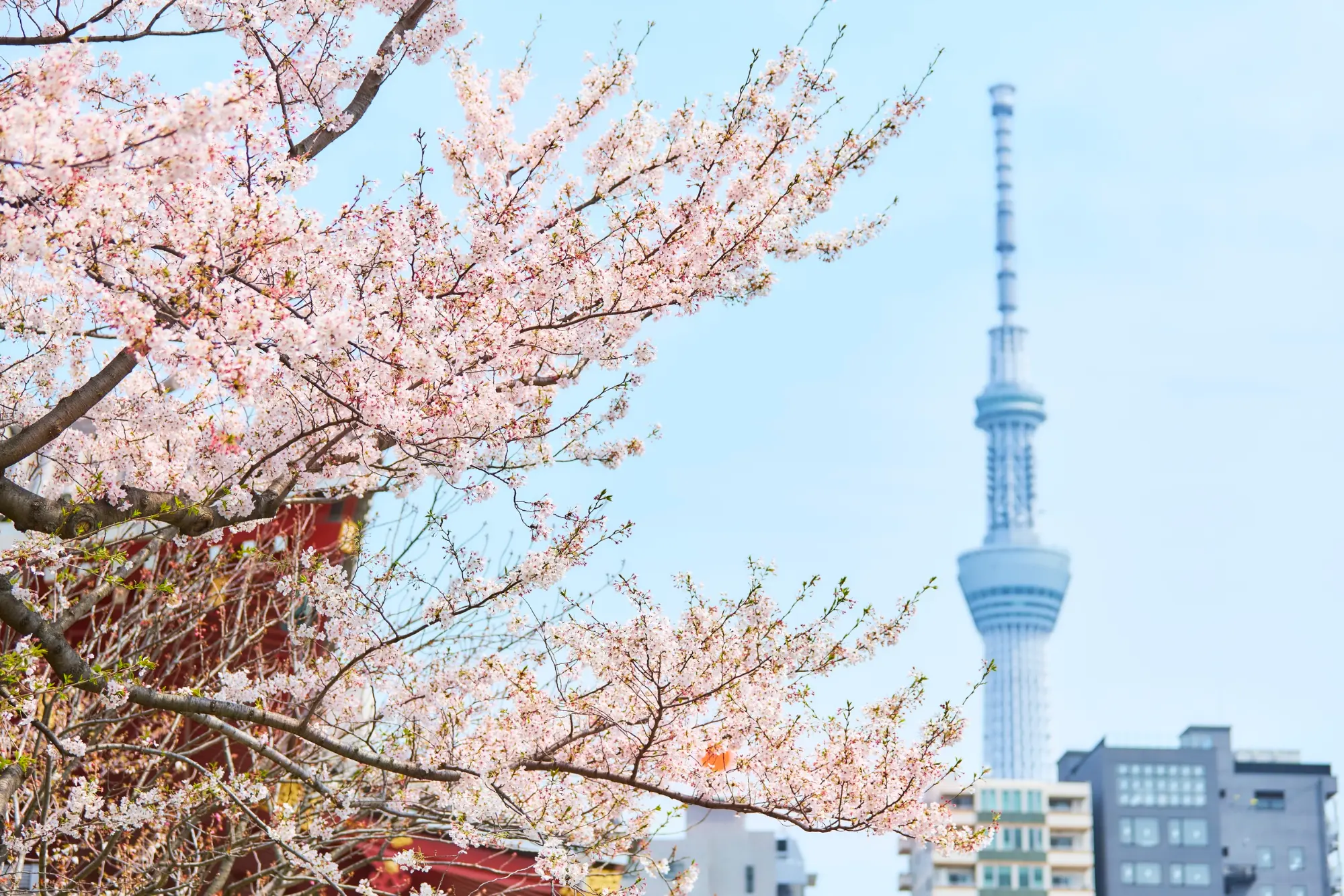 Tokyo Skytree