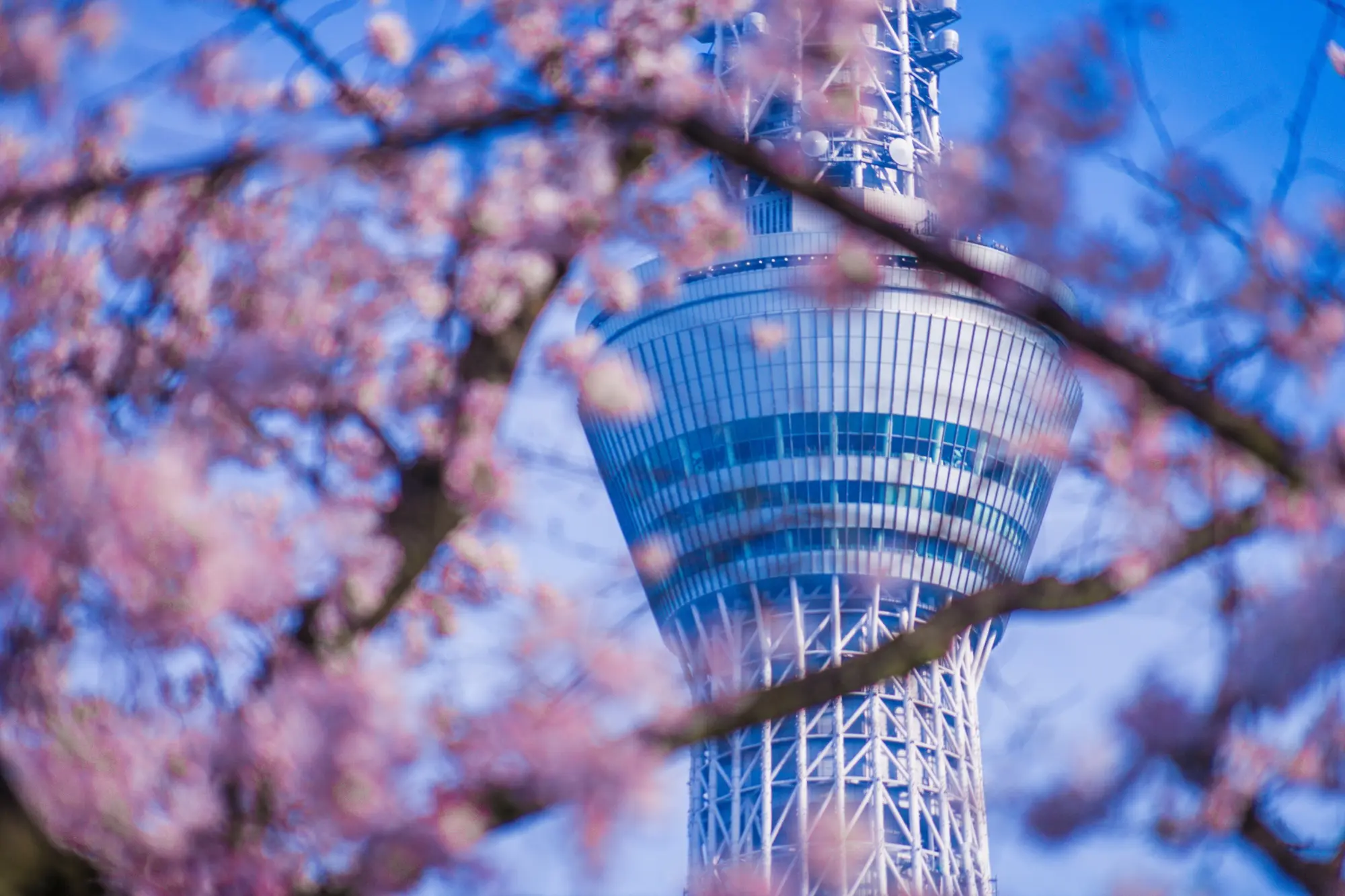 Tokyo Skytree