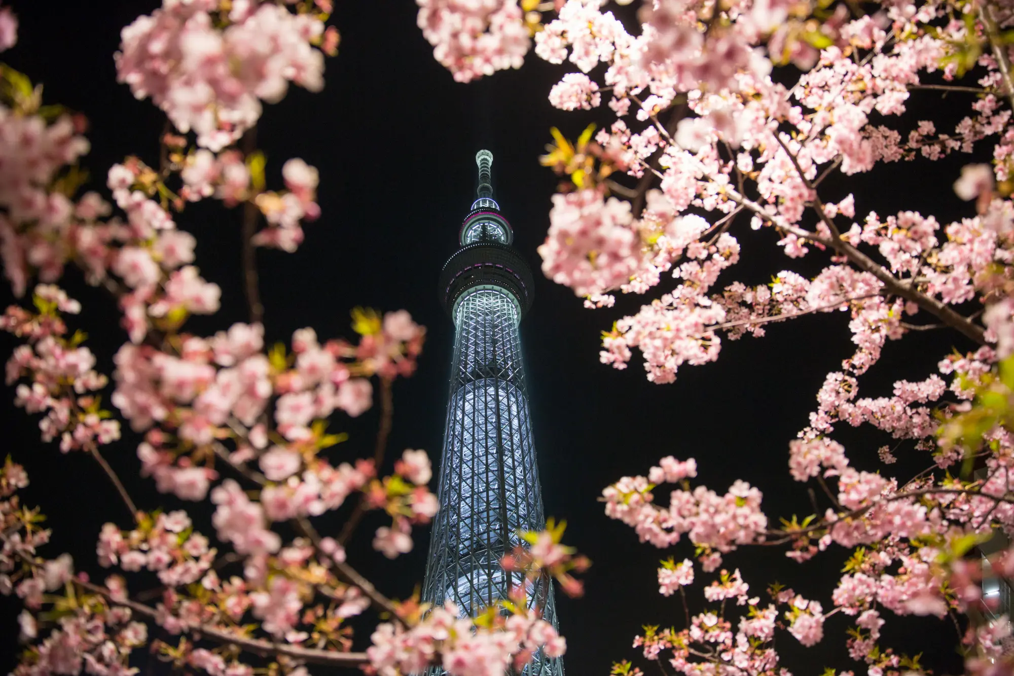 Tokyo Skytree