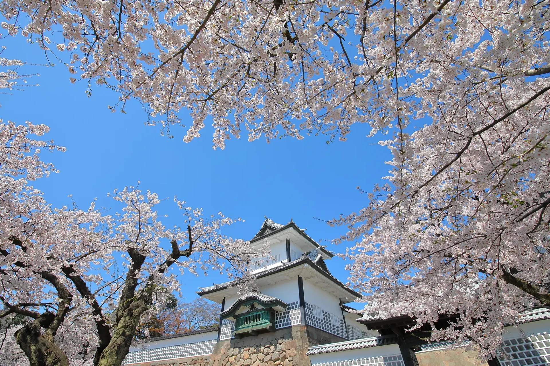 Kanazawa Castle in spring