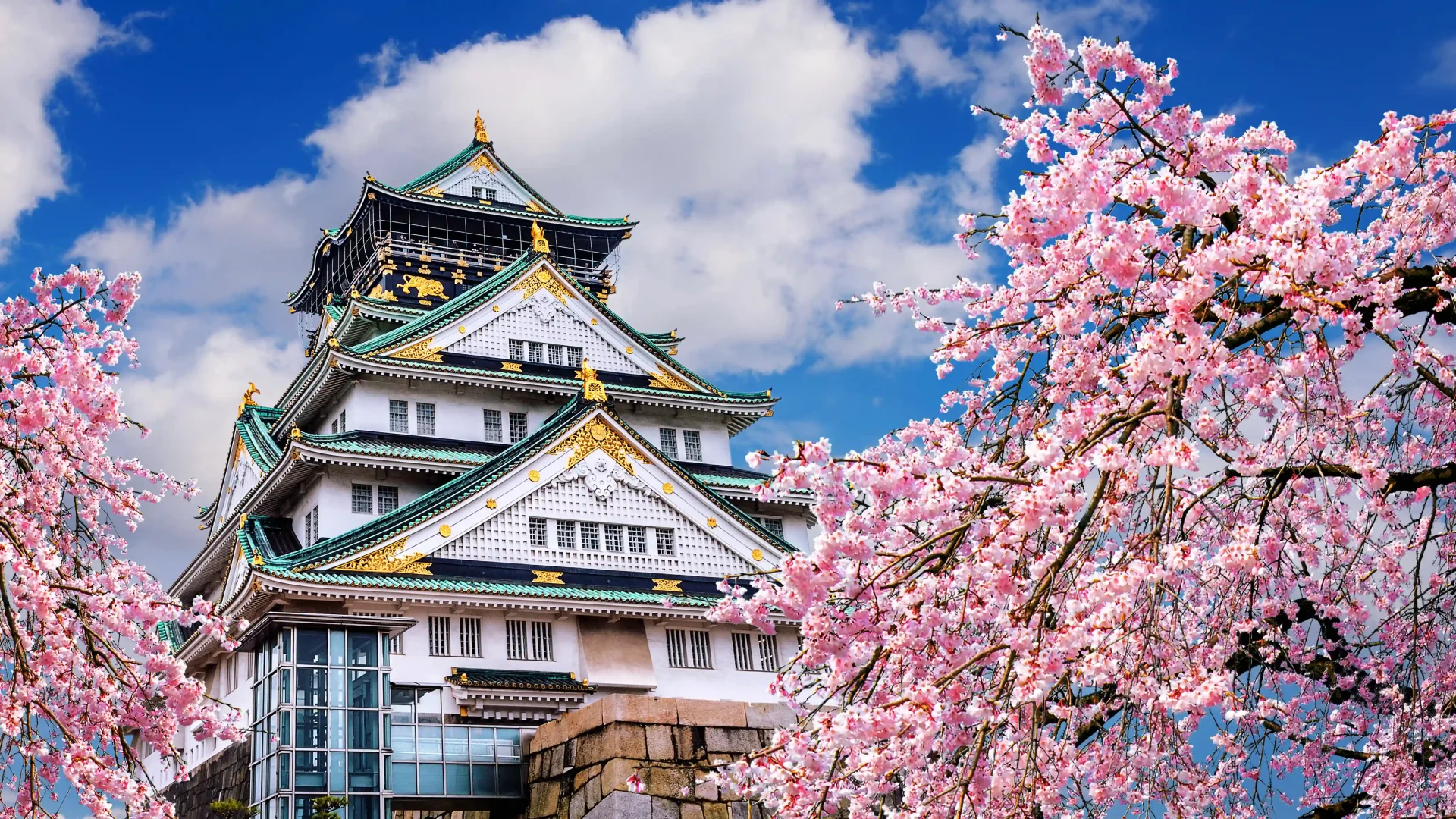 Spring time at Osaka castle, Japan