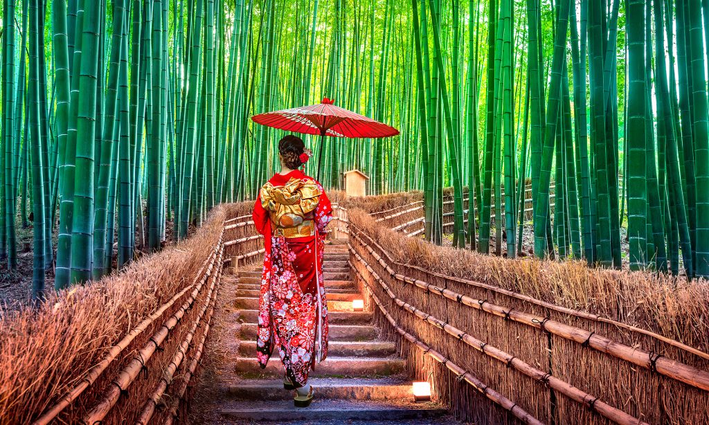 sagabo-bamboo-forest-kyoto-japan