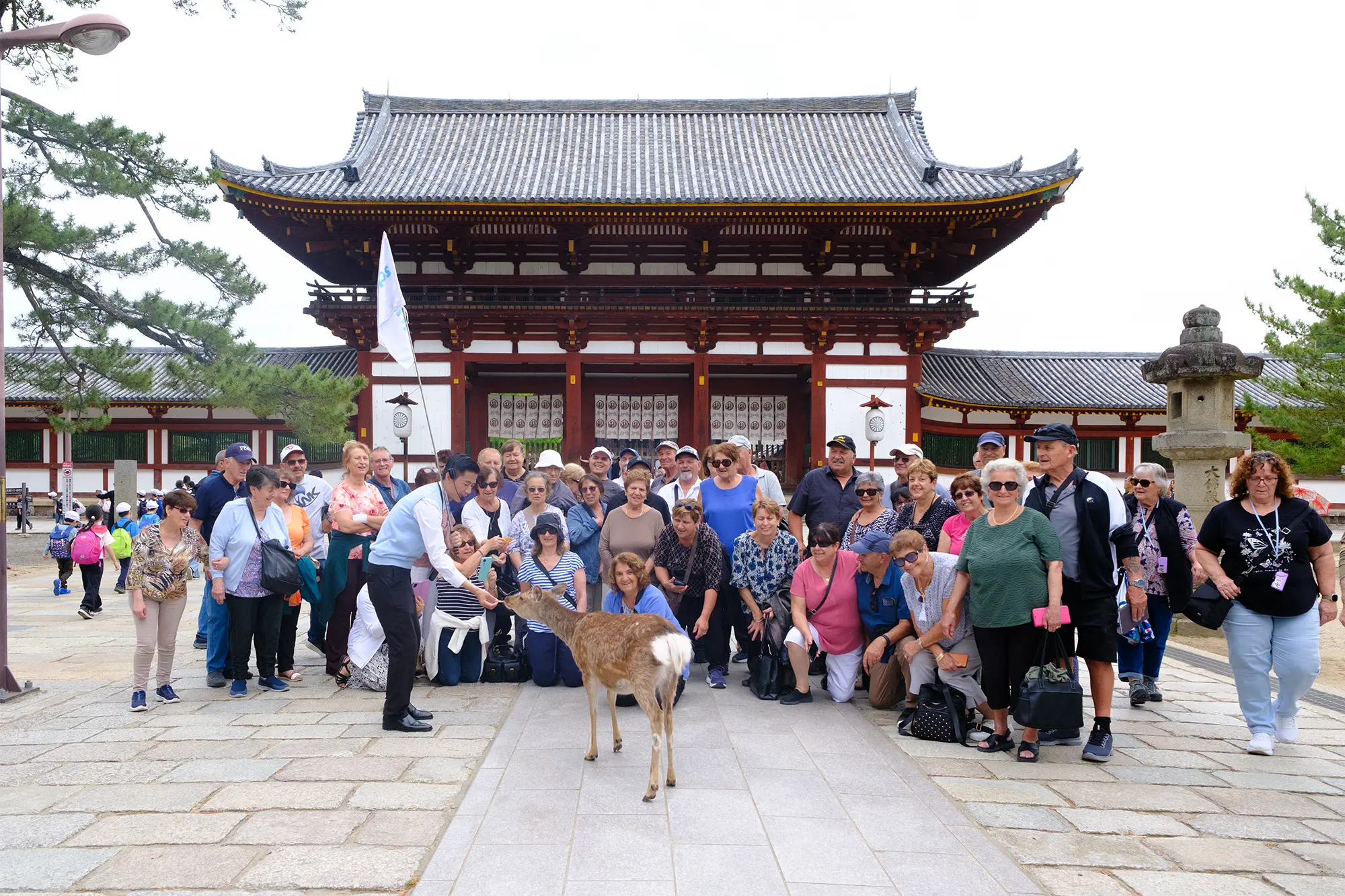 Exploring Nara with Nicetrips