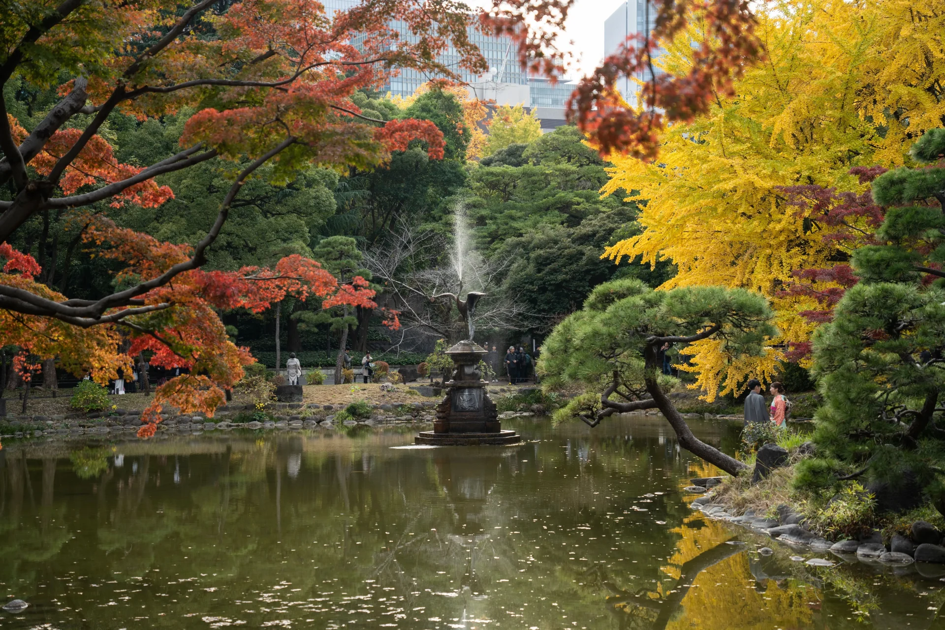 The scenery of a park in Tokyo, Japan in Autumn