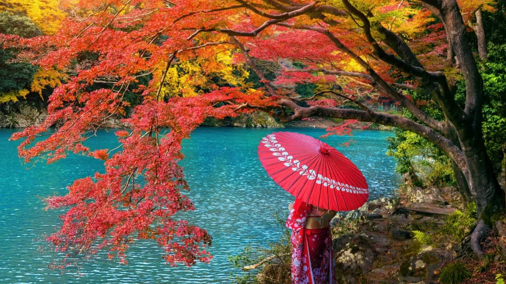 Beautiful Autumn Leaves in Japan