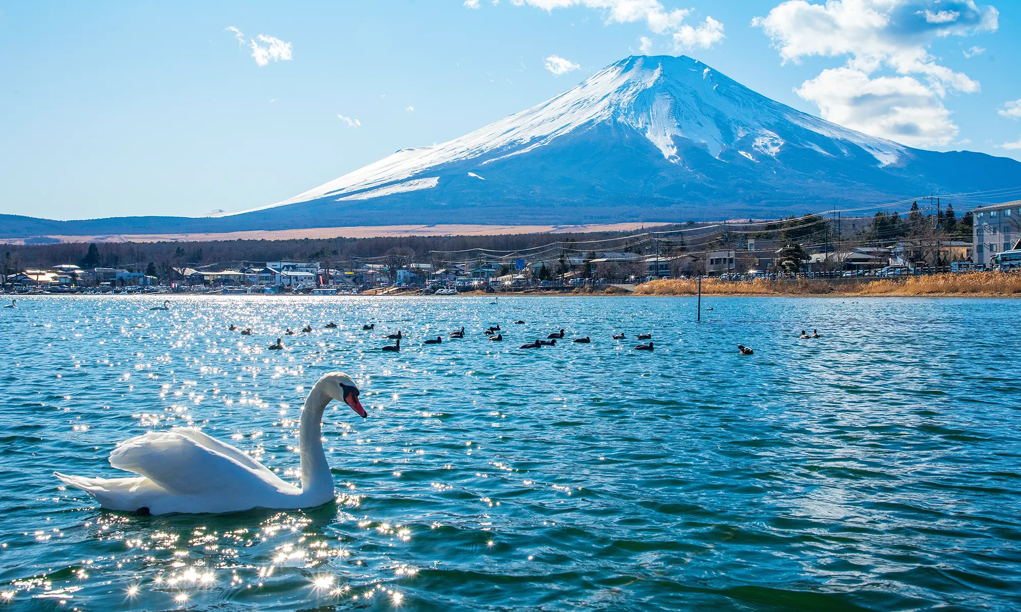 japan-Lake-Kawaguchiko