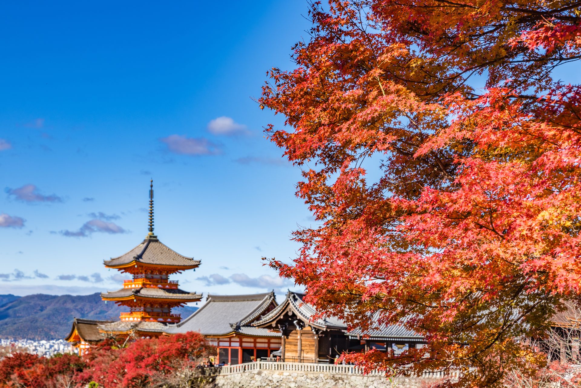 japan autumn