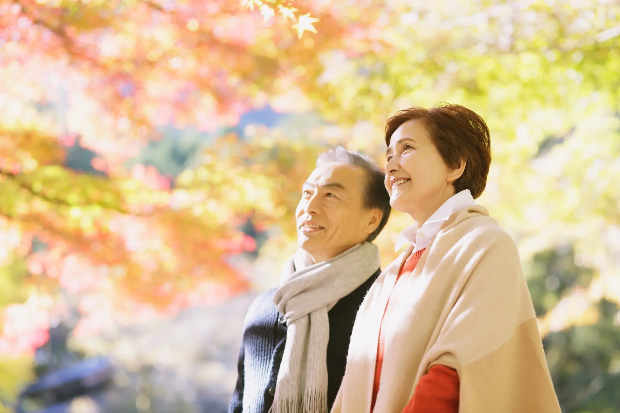 Japan Tours for Seniors