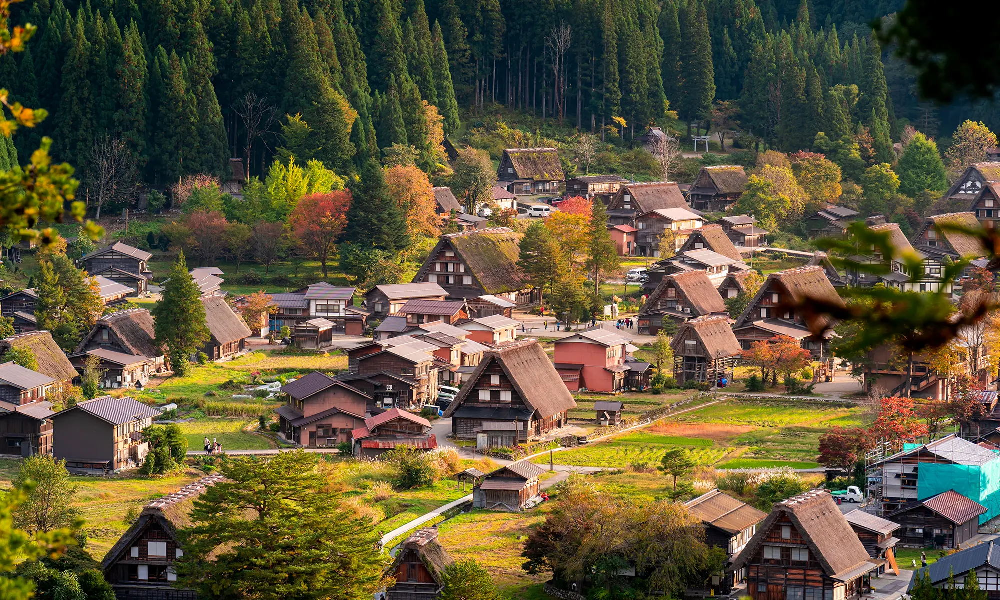 Shirakawa-go village in Japan with traditional Gassho-zukuri houses during summer