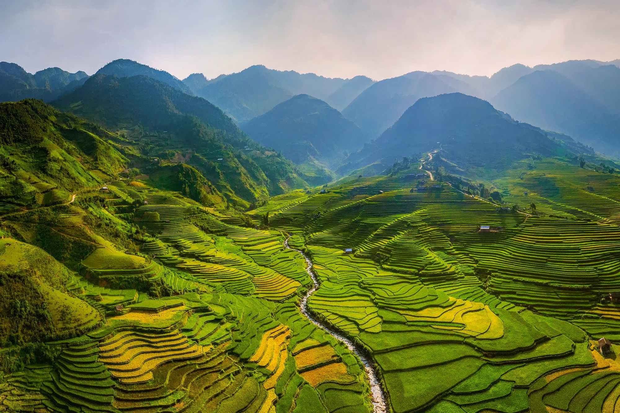 Rice Terraces Sapa
