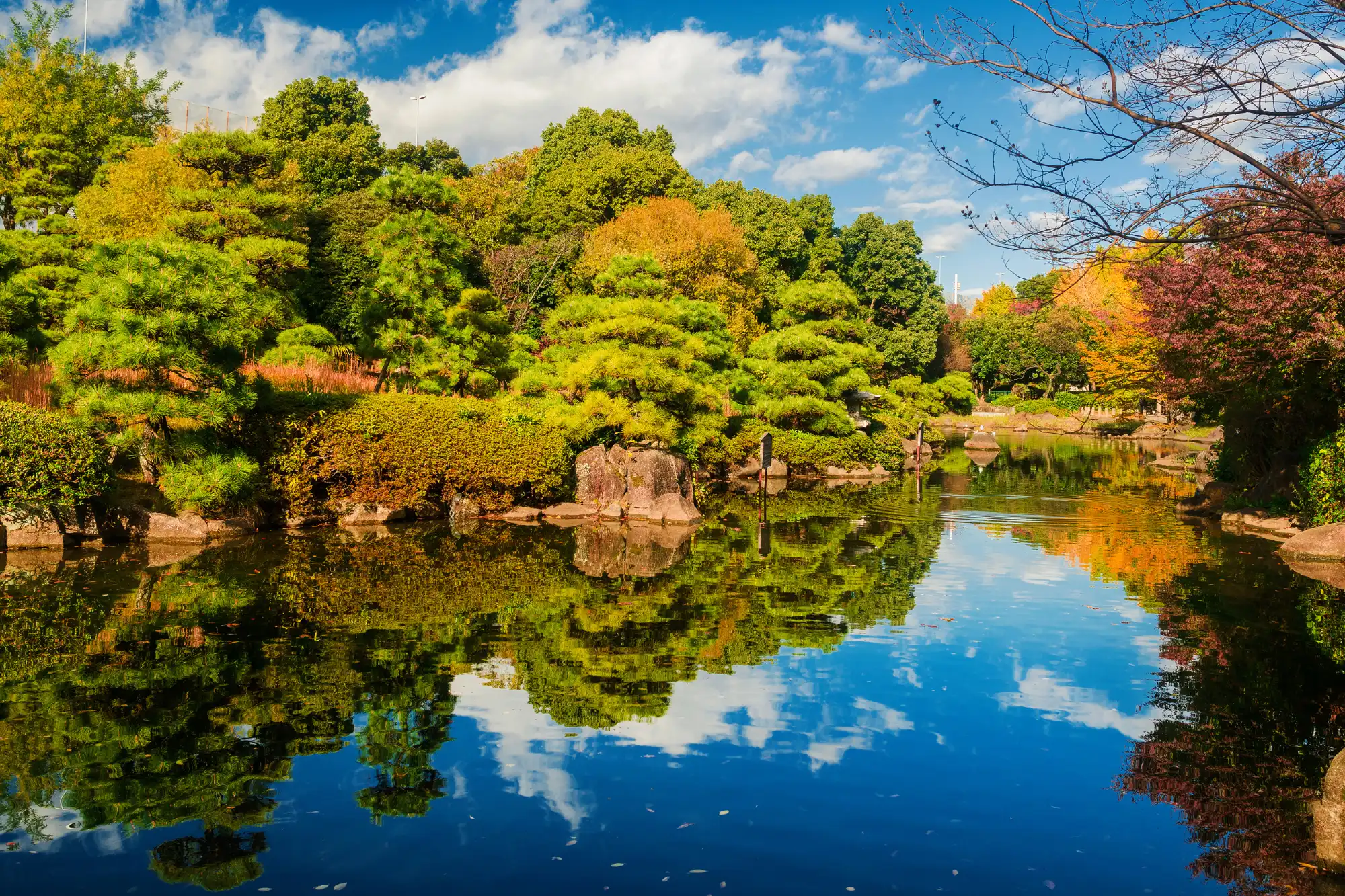 Golden Route Japan - Autumn Foliage at Sumida Park, Tokyo