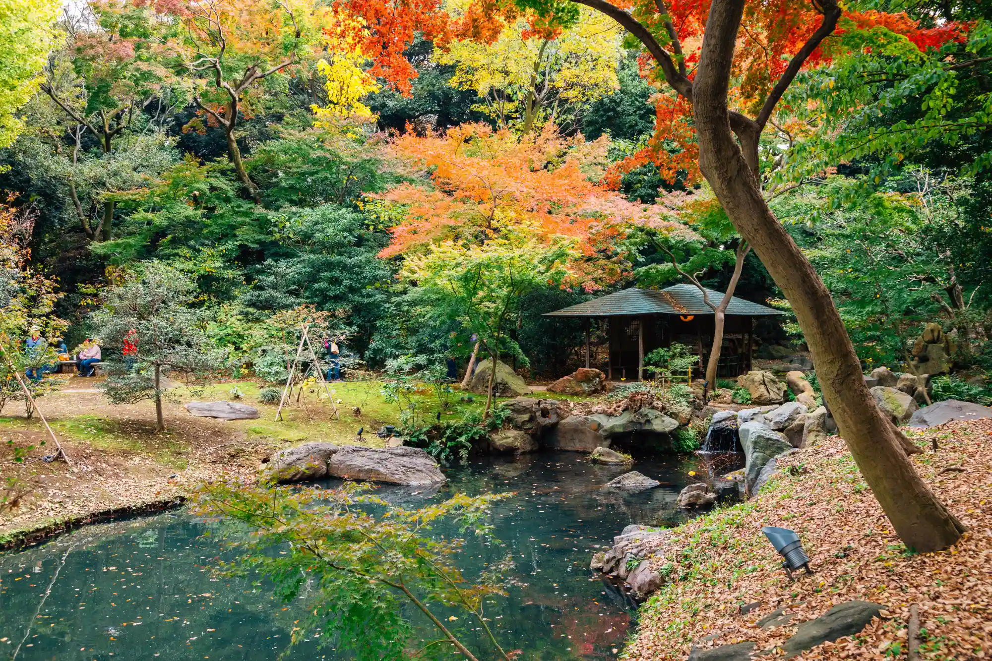 Japan Golden Route in Tokyo during autumn