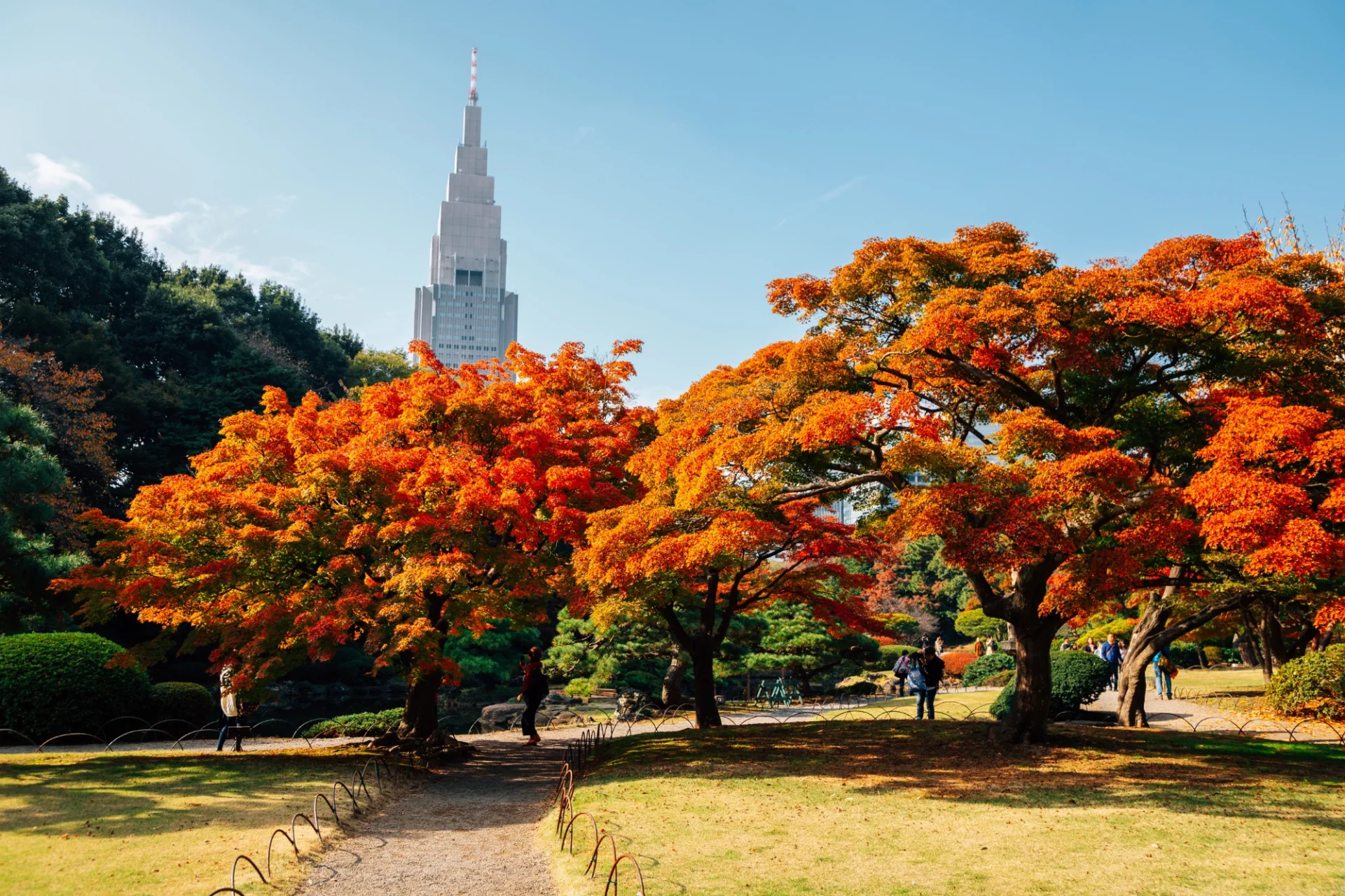 Autumn in Tokyo
