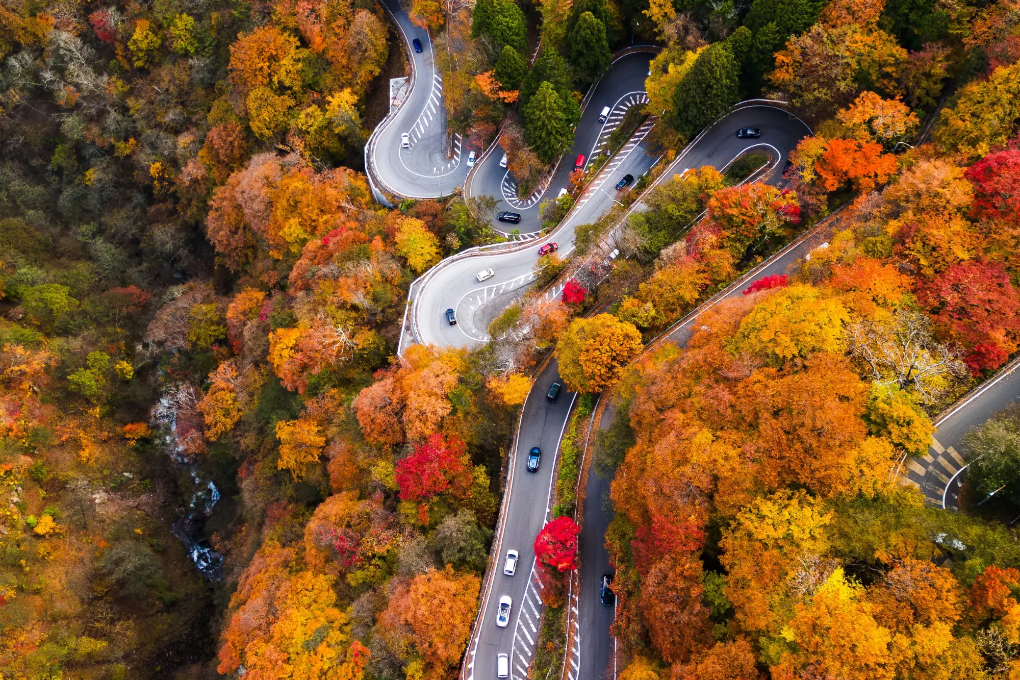 A winding mountain road weaving through a vibrant canopy of autumn foliage.
