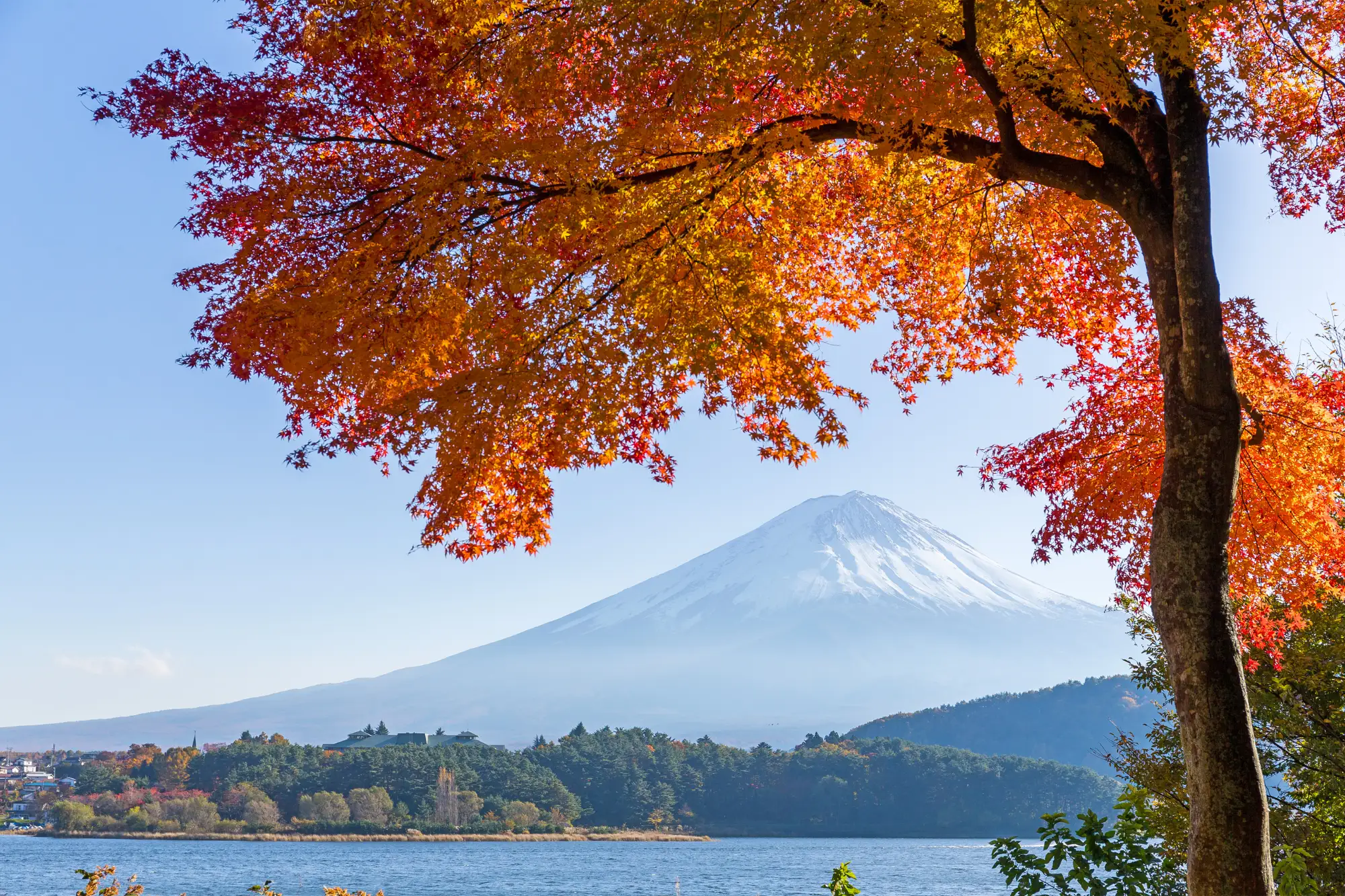 Japan Golden Route at Mount Fuji in autumn