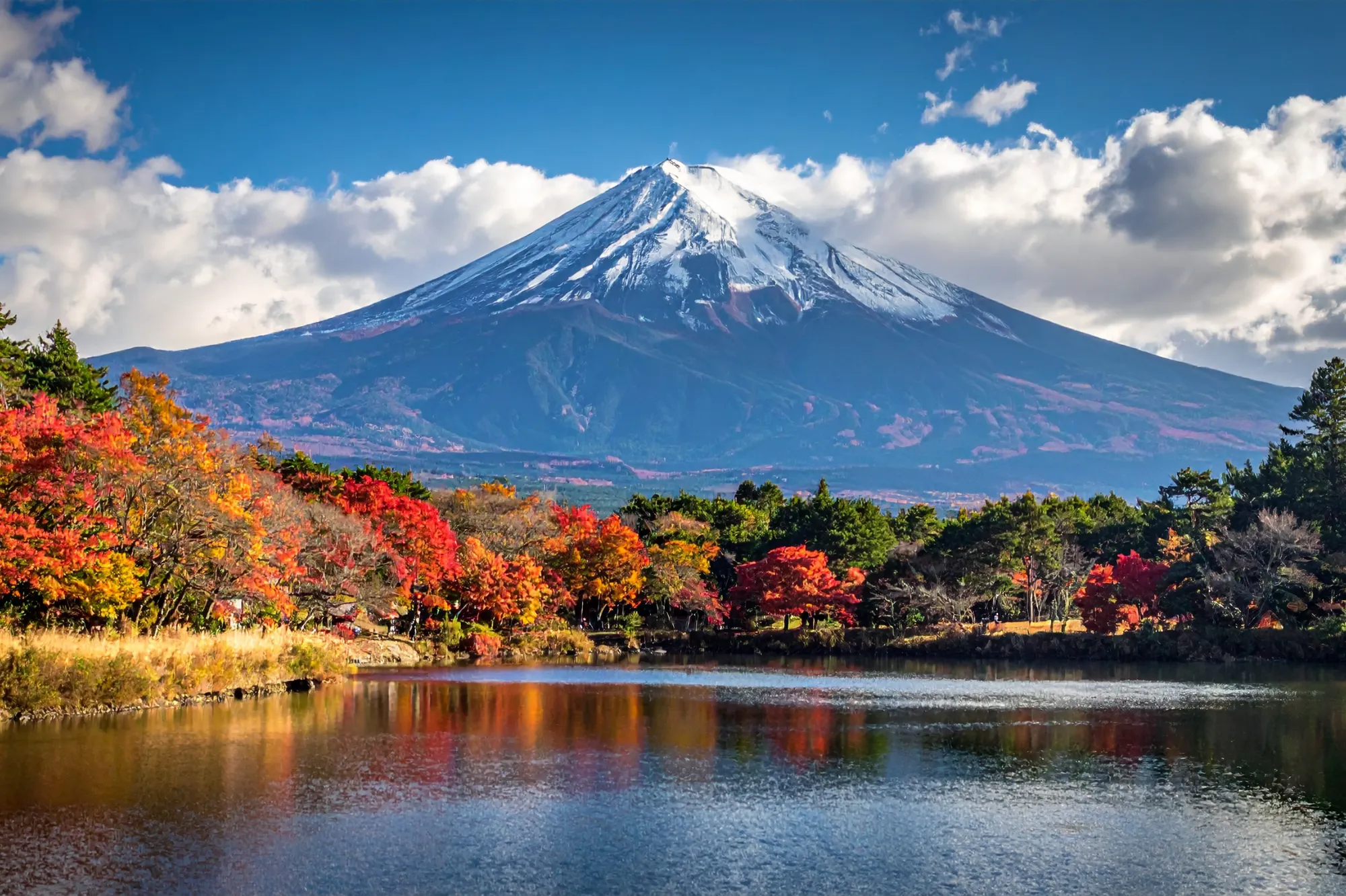 Japan autumn landscape with Mount Fuji and Lake Kawaguchiko