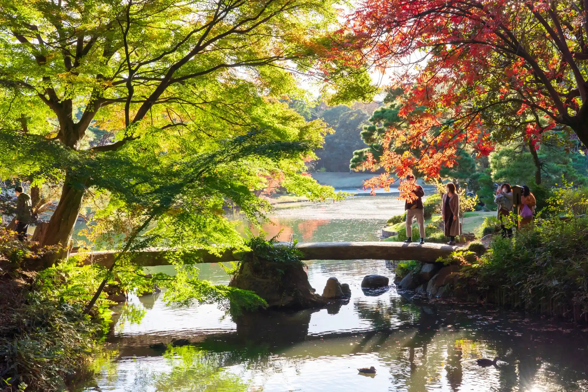 Rikugien Garden during autumn