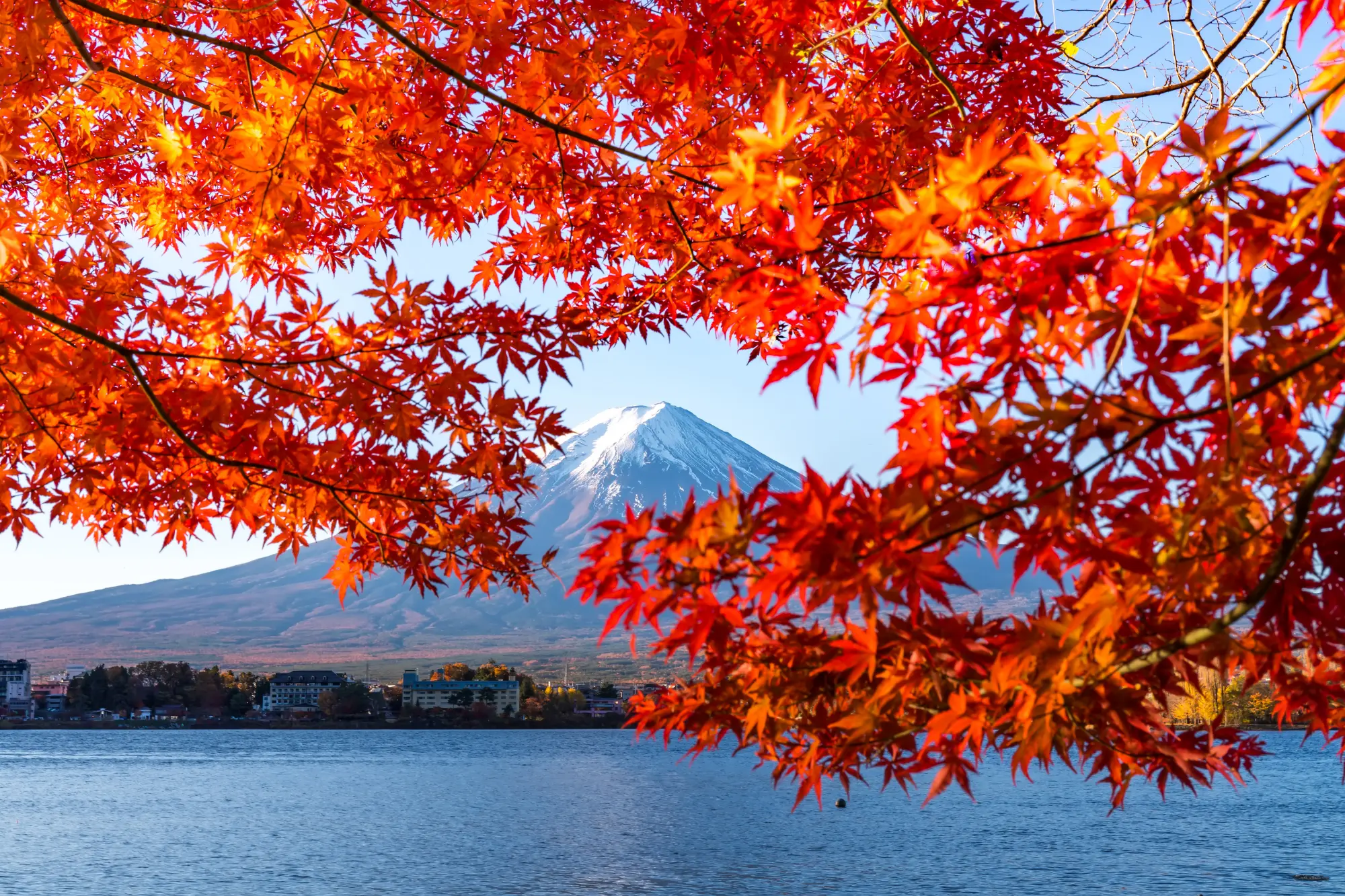 Tokyo Autumn Colors with Mount Fuji