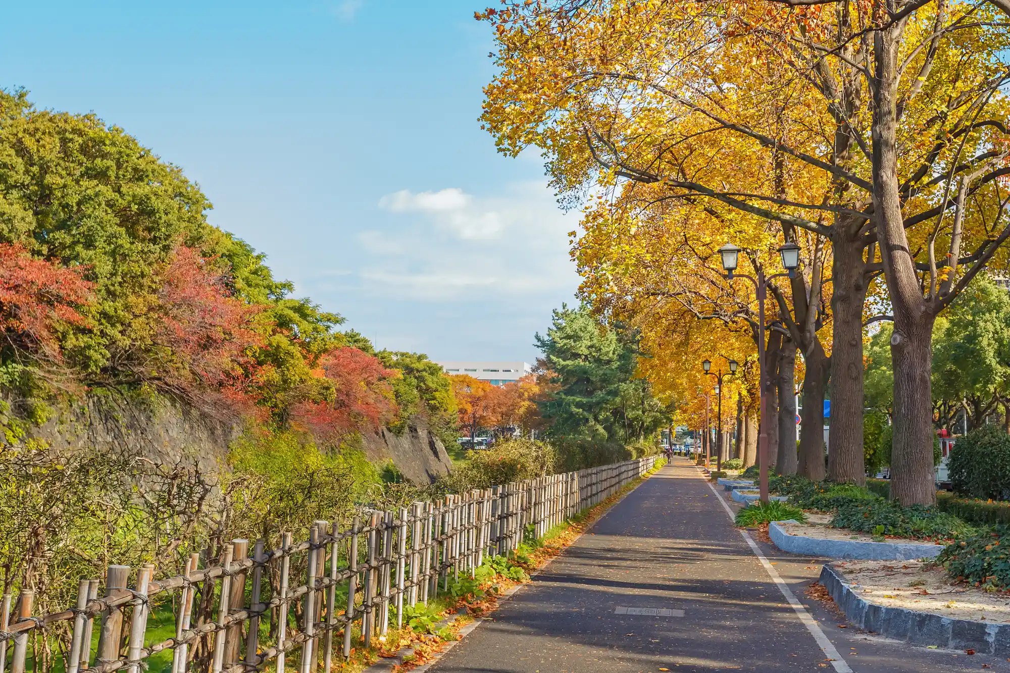 Walking Path beside Nagoya Castle