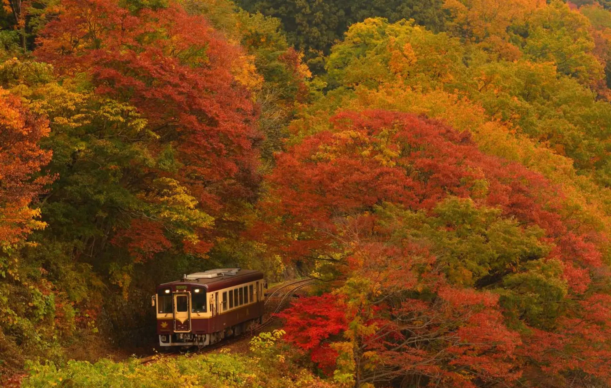 Watarase Keikoku Train is traveling through mountains