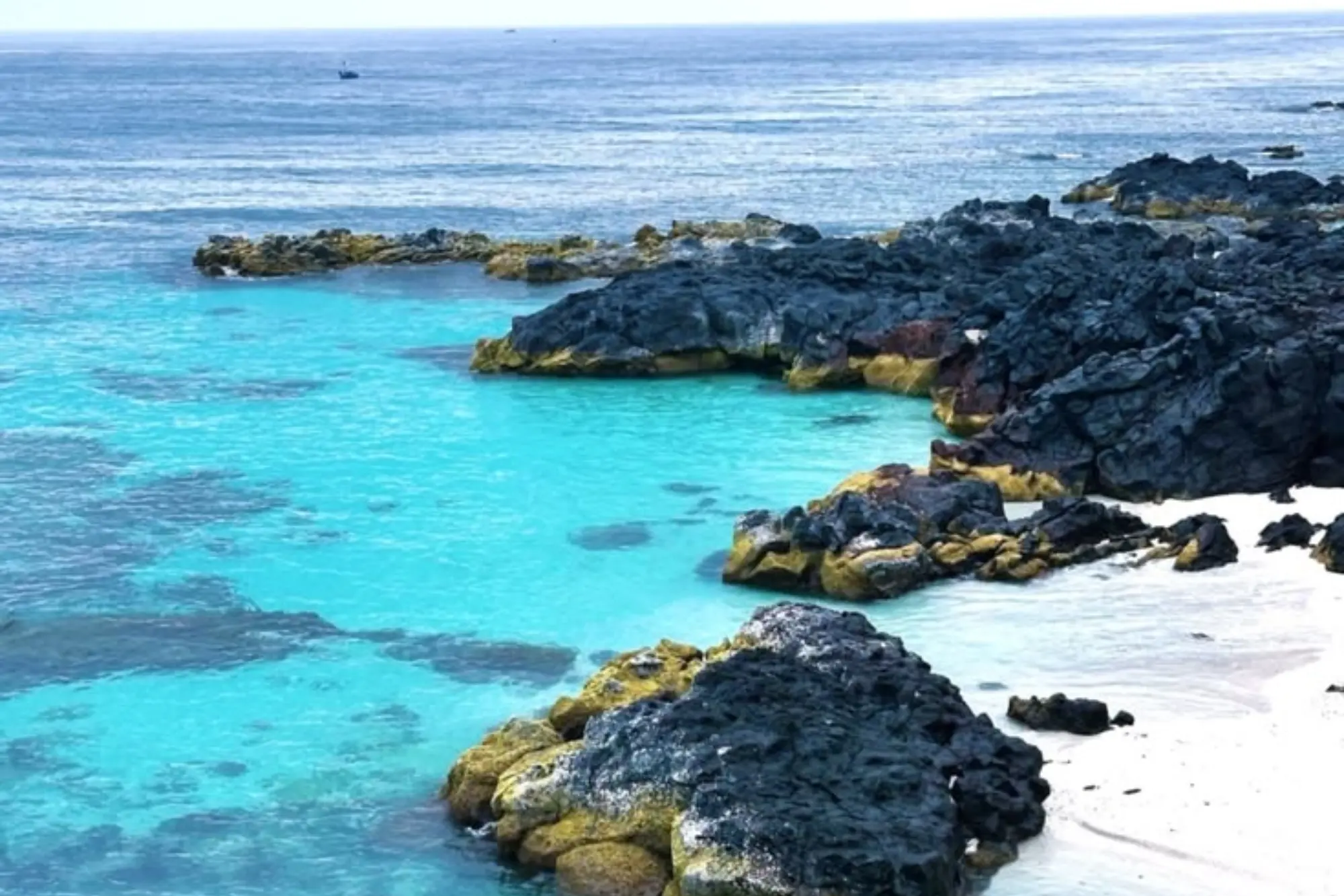 Quy Nhon’s Pristine Coastline