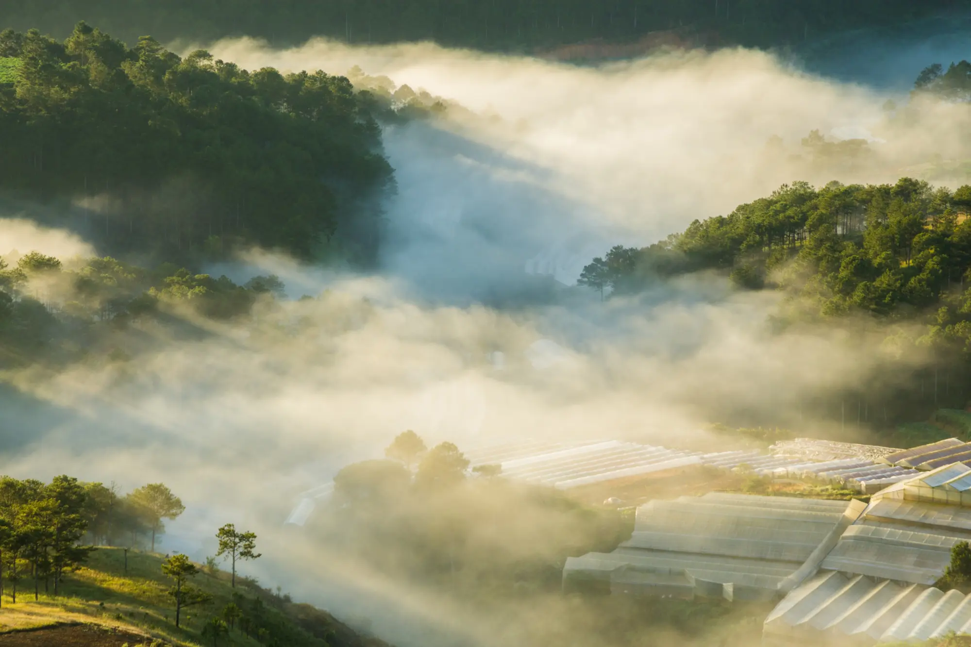 Da Lat in the morning