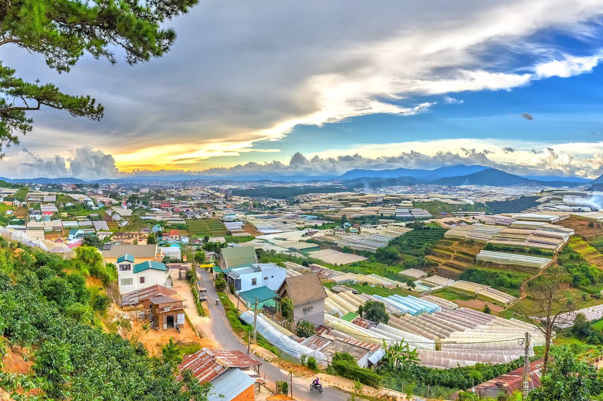 Travel to Da Lat