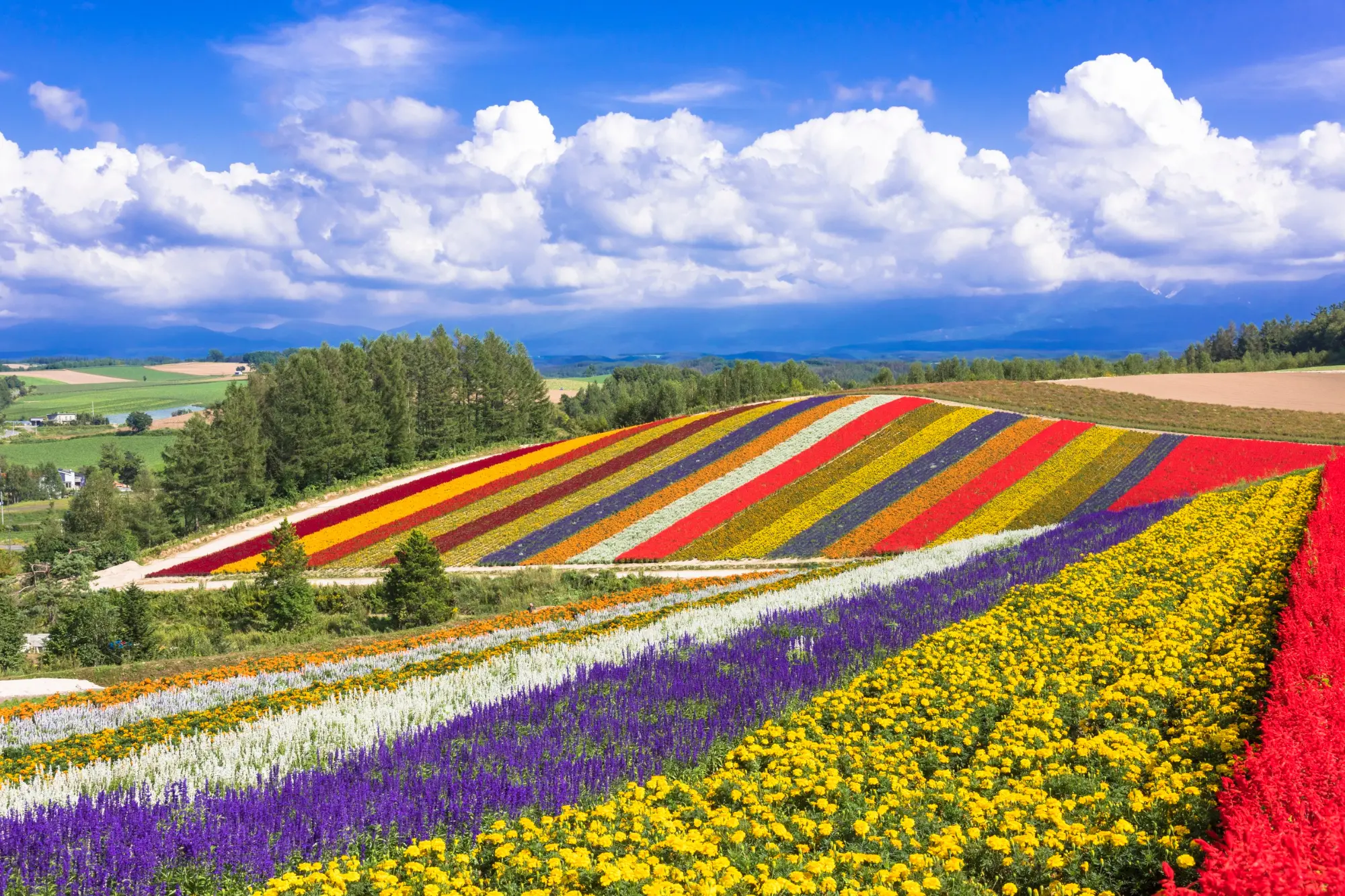 Hokkaido, Japan