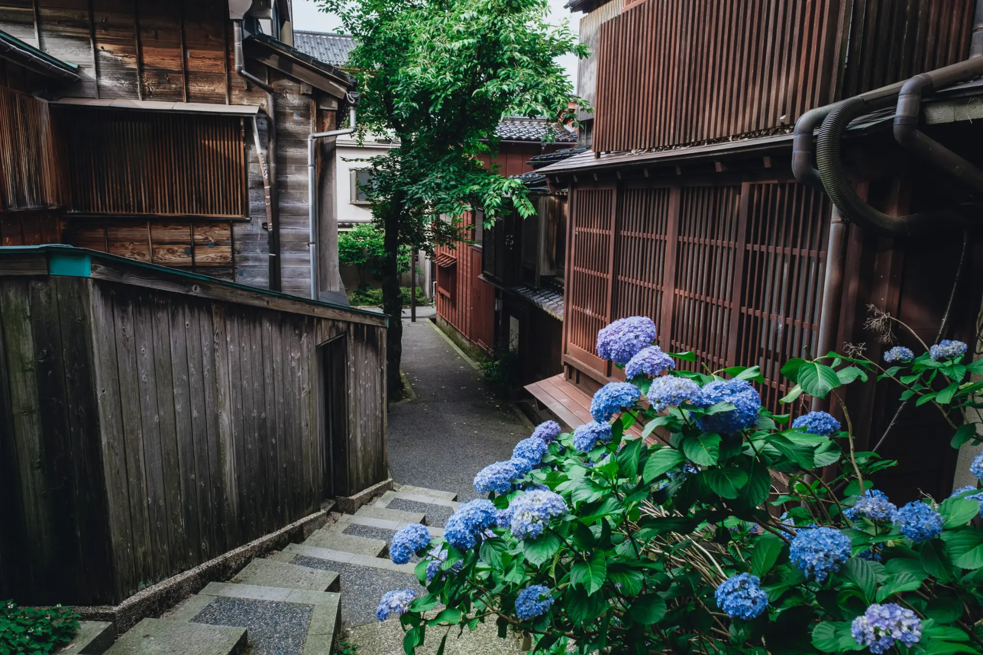 An old, atmospheric street in Kanazawa