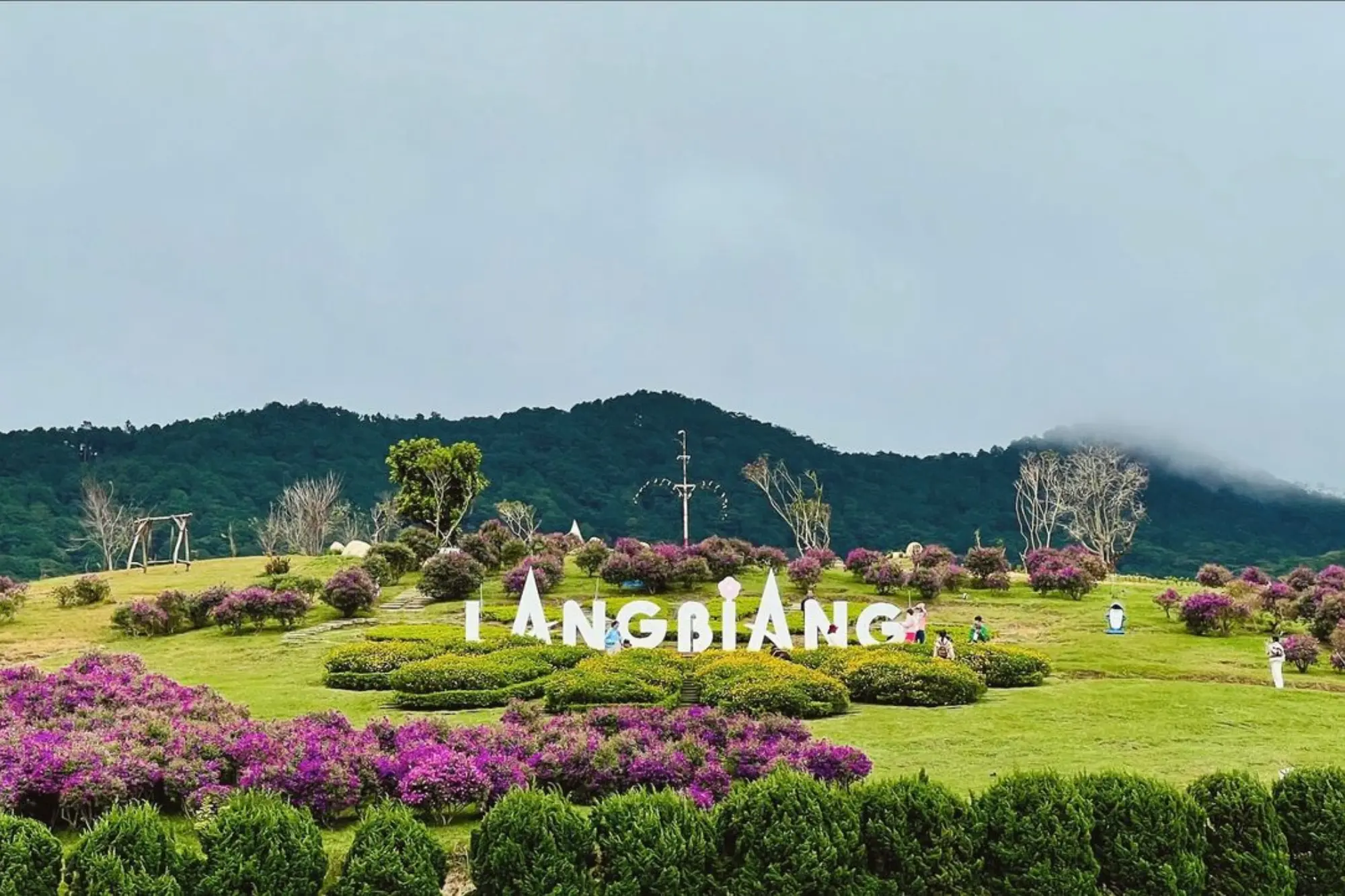 Langbiang Mountain