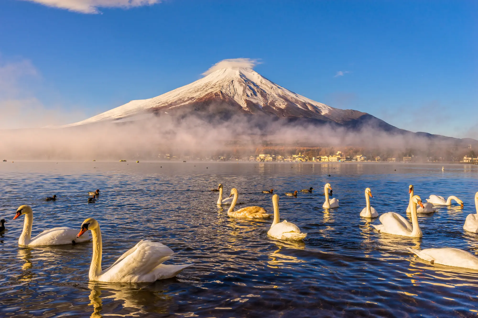 Mount fuji