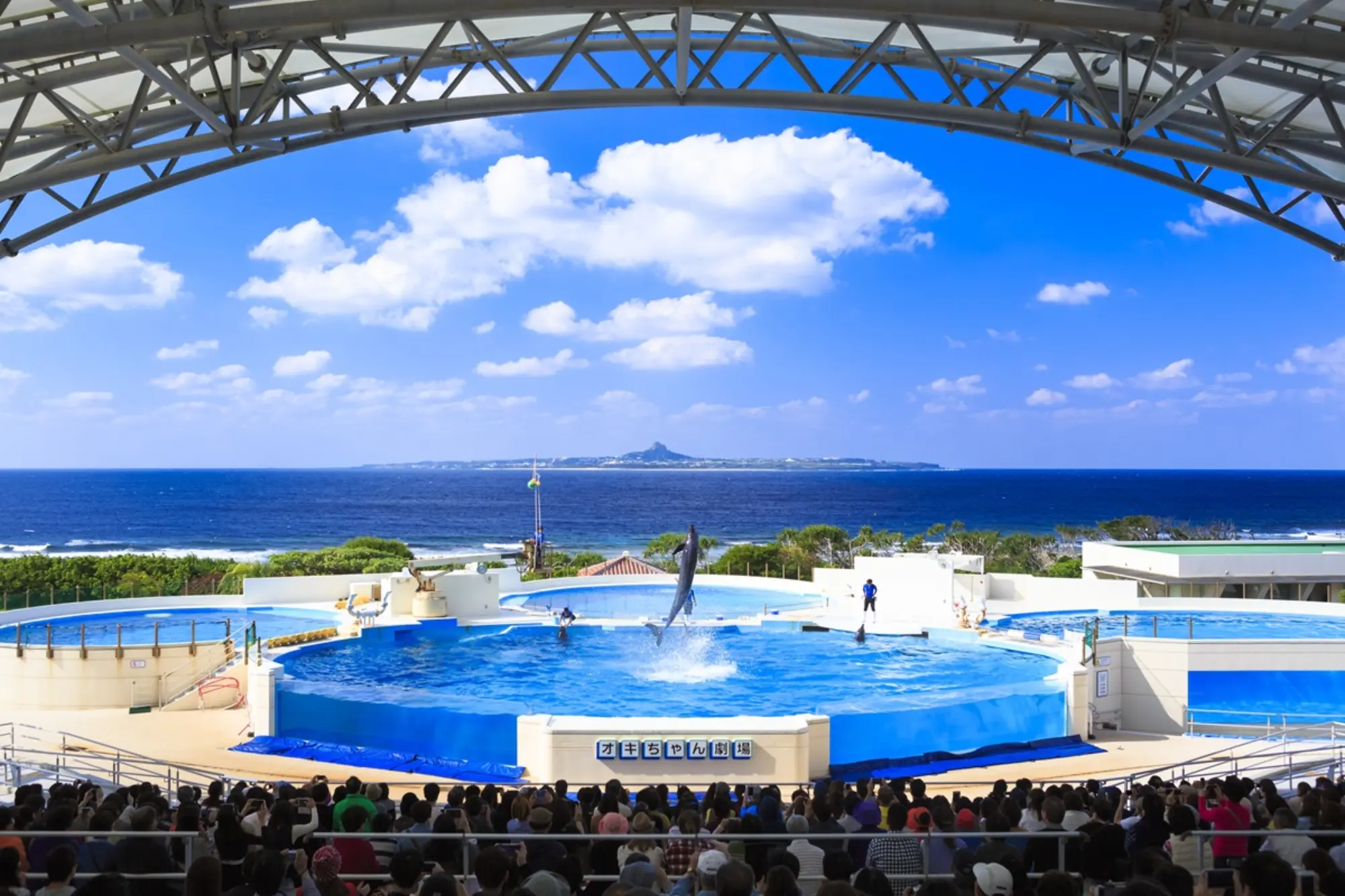 Okinawa Churaumi Aquarium