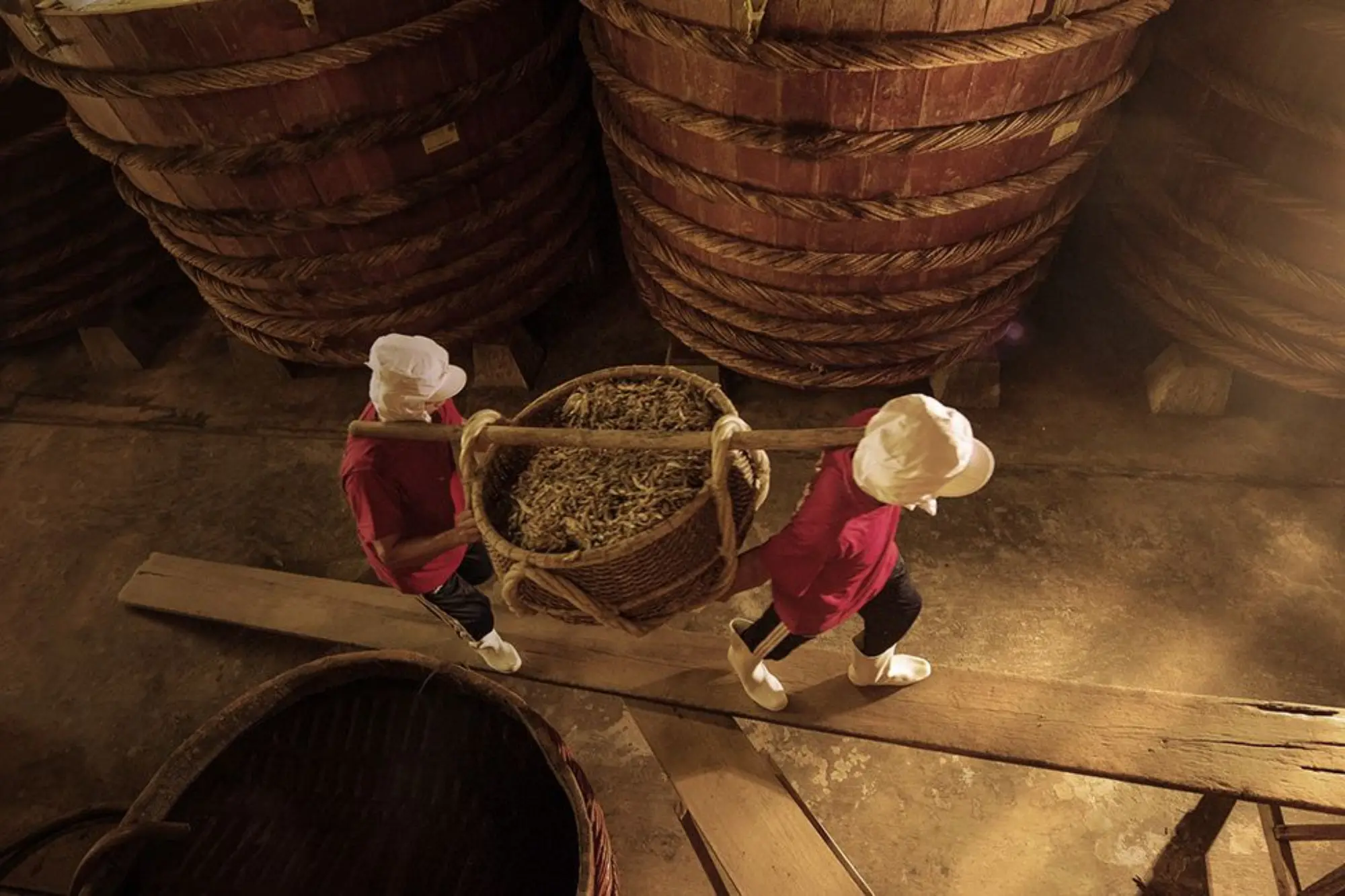 Making fish sauce in Phu Quoc