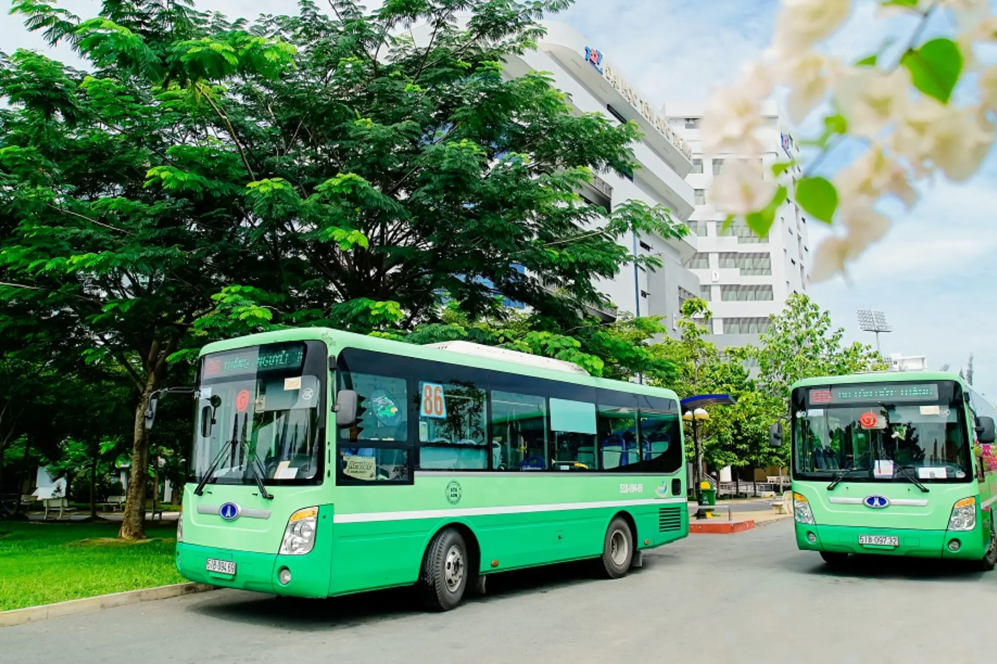 Buses in Vietnam
