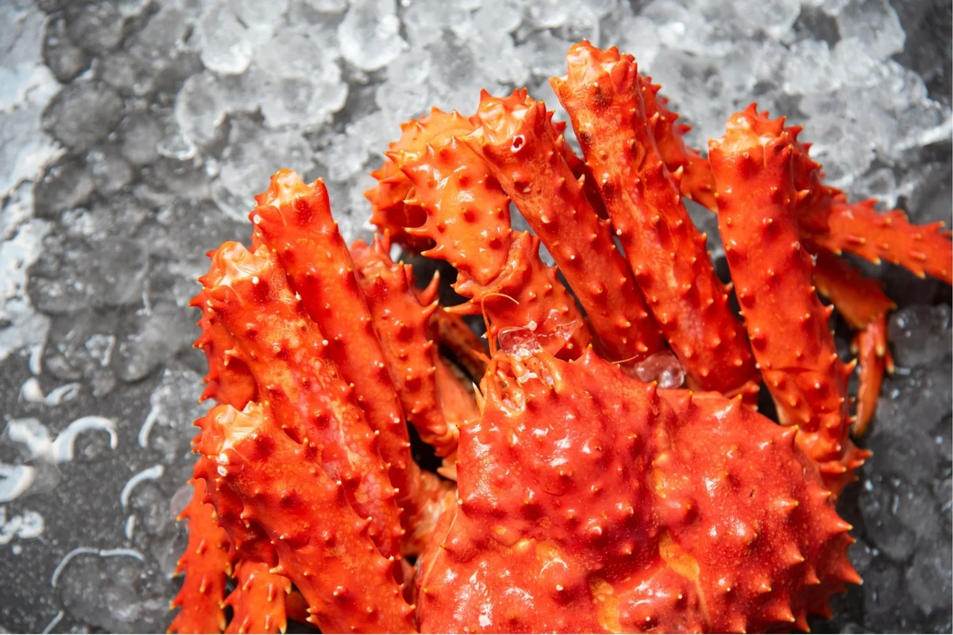 Hokkaido Seafood & Culinary Trail