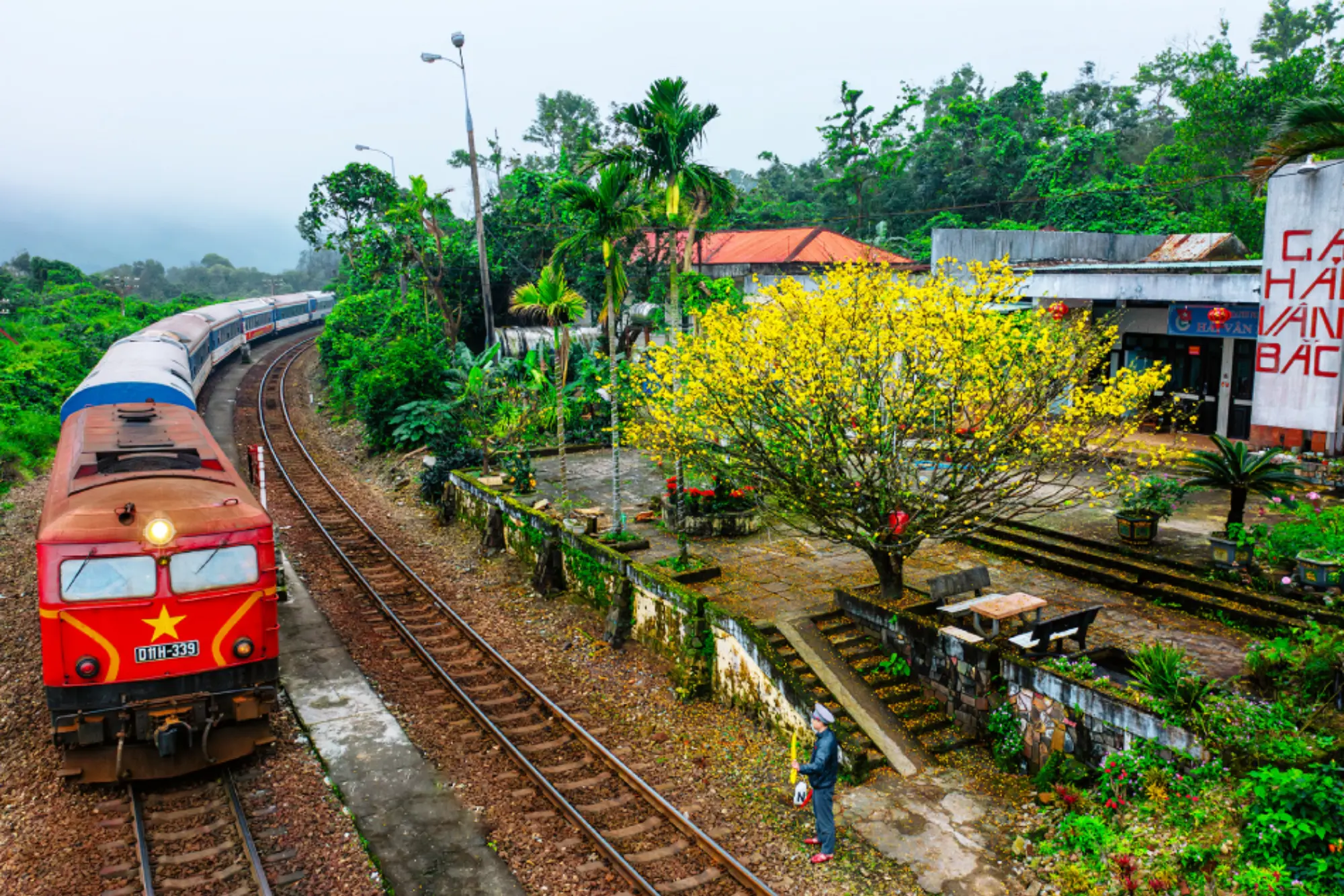 Train in Vietnam